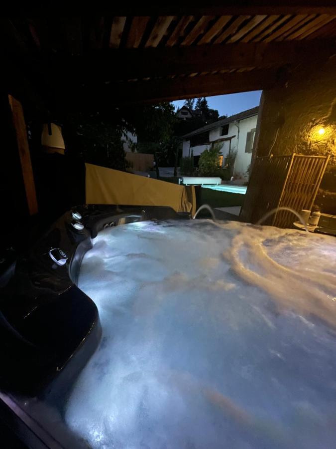 La Cabane Du 375, Piscine Clim,Jacuzzi Et Insolite Saint-Jean-de-Moirans Buitenkant foto